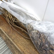 【インタビュー】『バイオハザード7』の恐怖を支えた新技術が凄い ― 写真から3Dモデルを生成、各キャラには実在モデルが居た