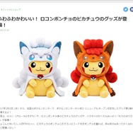 『ポケモン』ハクタイ地方の名物「もりのヨウカン」が商品化！その他「アローラロコンポンチョのピカチュウ」グッズなども登場