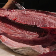 【レポート】『フィッシュアイランド 2』キックオフパーティーに行ったら突然マグロ解体ショーが始まった