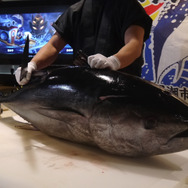 【レポート】『フィッシュアイランド 2』キックオフパーティーに行ったら突然マグロ解体ショーが始まった