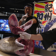 【レポート】『フィッシュアイランド 2』キックオフパーティーに行ったら突然マグロ解体ショーが始まった