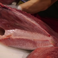 【レポート】『フィッシュアイランド 2』キックオフパーティーに行ったら突然マグロ解体ショーが始まった