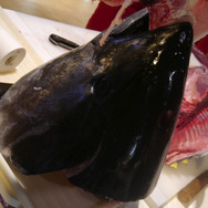 【レポート】『フィッシュアイランド 2』キックオフパーティーに行ったら突然マグロ解体ショーが始まった