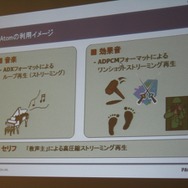 【GTMF2009】PSPのロード時間を短縮するためには? GTMFのCRIセッション