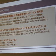 【GTMF2009】PSPのロード時間を短縮するためには? GTMFのCRIセッション