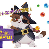 『バブルウィッチ3』が猫の写真募集！SNSフォトコンテスト開催