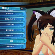 『閃乱カグラ PBS』各ウォーターガンには2種類のモードが！ 戦況に応じて切り替えろ─購買部ではお気に入りキャラがエプロン姿に…