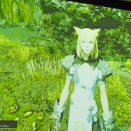 【レポート】エオルゼアでの会見も！ドラマ「FFXIV 光のお父さん」完成発表会
