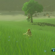 【特集】『ゼルダの伝説 BotW』勇者のためのライフハック!冒険がちょっと楽しくなる6項目