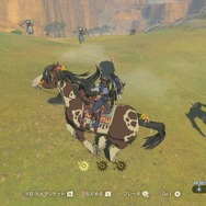 【特集】『ゼルダの伝説 BotW』勇者のためのライフハック!冒険がちょっと楽しくなる6項目