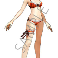 スイッチ版『Fate/EXTELLA』店舗別購入特典の実施店舗を発表！ アルトリアやネロなどの水着姿が…