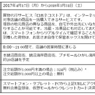 DeNAとヤマト運輸、「ロボネコヤマト」プロジェクトで新たな物流サービスを目指す─自動運転社会を見据えて