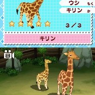 みんなの動物園