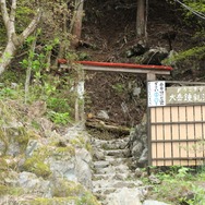 【特集】本物の洞窟で『みんなでワイワイ！スペランカー』を遊ぶと盛り上がるのか―男女4人でやってきた