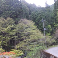 【特集】本物の洞窟で『みんなでワイワイ！スペランカー』を遊ぶと盛り上がるのか―男女4人でやってきた