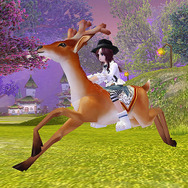 夢世界-武林外伝-