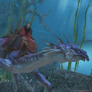 『FFXIV: 紅蓮のリベレーター』祖国の奪還に燃える“リセ”や君主に仕える忍者“ユウギリ”などを一挙公開！ 予約特典のPS4テーマもお披露目