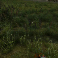 金属探知シム『Serious Metal Detecting』がSteam配信！広大な土地でお宝探し