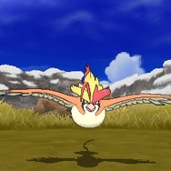 『ポケモン サン・ムーン』ヘラクロス＆ヘルガーのメガストーンが配布開始、先行配布されていたピジョット＆ハガネールも同時に