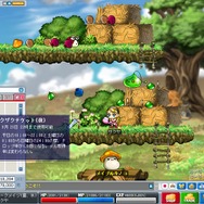 Copyright (c) NEXON Corporation and NEXON Japan Co.,Ltd.　All rights reserved. Copyright (c) Wizet Corporation. All rights reserved.