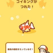 【プレイレポ】育てたコイキングがピジョンに連れ去られてゆく…切なくも面白い『はねろ！コイキング』