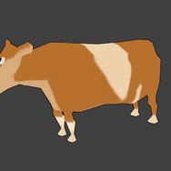 Let's 全力ヒッチハイク!!!!!!!!!