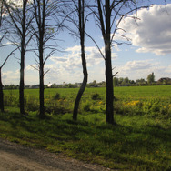 【写真80枚】モスクワフォトレポート―戦車好きの聖地「クビンカ戦車博物館」＆世界遺産「赤の広場」