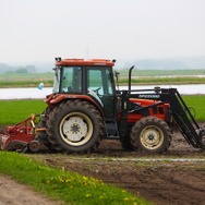 【特集】『エグリア』の精霊を喚び出すために北海道で朝採れアスパラを収穫してきた