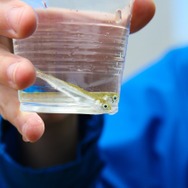 【特集】『エグリア』の精霊を喚び出すために北海道で朝採れアスパラを収穫してきた