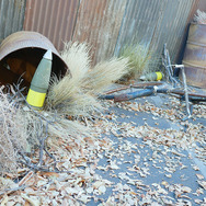 【E3 2017】ベセスダ遊園地イベント「Bethesdaland」に突入してきた！