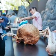 【E3 2017】ベセスダ遊園地イベント「Bethesdaland」に突入してきた！