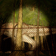 7月14日オープンの「VR ZONE SHINJUKU」詳細発表！ 『マリオカート』や「攻殻」のアクティビティも─気になる料金は？