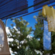 『サマーレッスン：アリソン・スノウ 七日間の庭』今回の教え子「アリソン」や物語の情報が公開