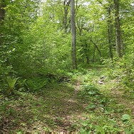 【特集】『ゼルダの伝説 BotW』のような美しい風景を求めて！ 支笏湖にハイラルの面影を見る（北海道編）