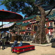 ファイナルファンタジーXIV: 紅蓮のリベレーター