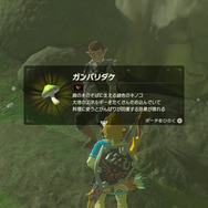 【ゼルダBOW】旅人の数だけドラマがある…馬宿に集う旅人に密着してみた！