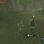 【ゼルダBOW】旅人の数だけドラマがある…馬宿に集う旅人に密着してみた！