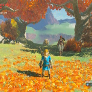 【ゼルダBOW】旅人の数だけドラマがある…馬宿に集う旅人に密着してみた！