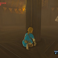 【ゼルダBOW】旅人の数だけドラマがある…馬宿に集う旅人に密着してみた！