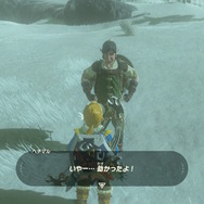 【ゼルダBOW】旅人の数だけドラマがある…馬宿に集う旅人に密着してみた！