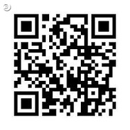 『Heroes in the Sky』レアアイテムは連動モバイルサイトで入手せよ