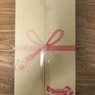 勇者のつるぎが届いた!『ドラクエXI』PS4/3DSダブルパックミニ開封レポ