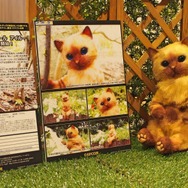 【レポート・読プレ】オトモアイルー配信権をかけて…スイッチ版『モンハン ダブルクロス』メディア大会に出場！