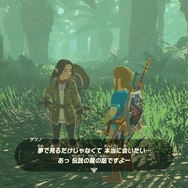【ゼルダBOW】馬宿に集う旅人(モブ)密着第二弾!