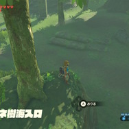 【ゼルダBOW】馬宿に集う旅人(モブ)密着第二弾!