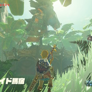 【ゼルダBOW】馬宿に集う旅人(モブ)密着第二弾!