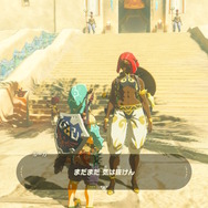 【ゼルダBOW】馬宿に集う旅人(モブ)密着第二弾!