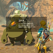 【ゼルダBOW】馬宿に集う旅人(モブ)密着第二弾!