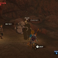 【ゼルダBOW】馬宿に集う旅人(モブ)密着第二弾!