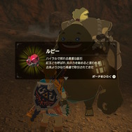 【ゼルダBOW】馬宿に集う旅人(モブ)密着第二弾!
